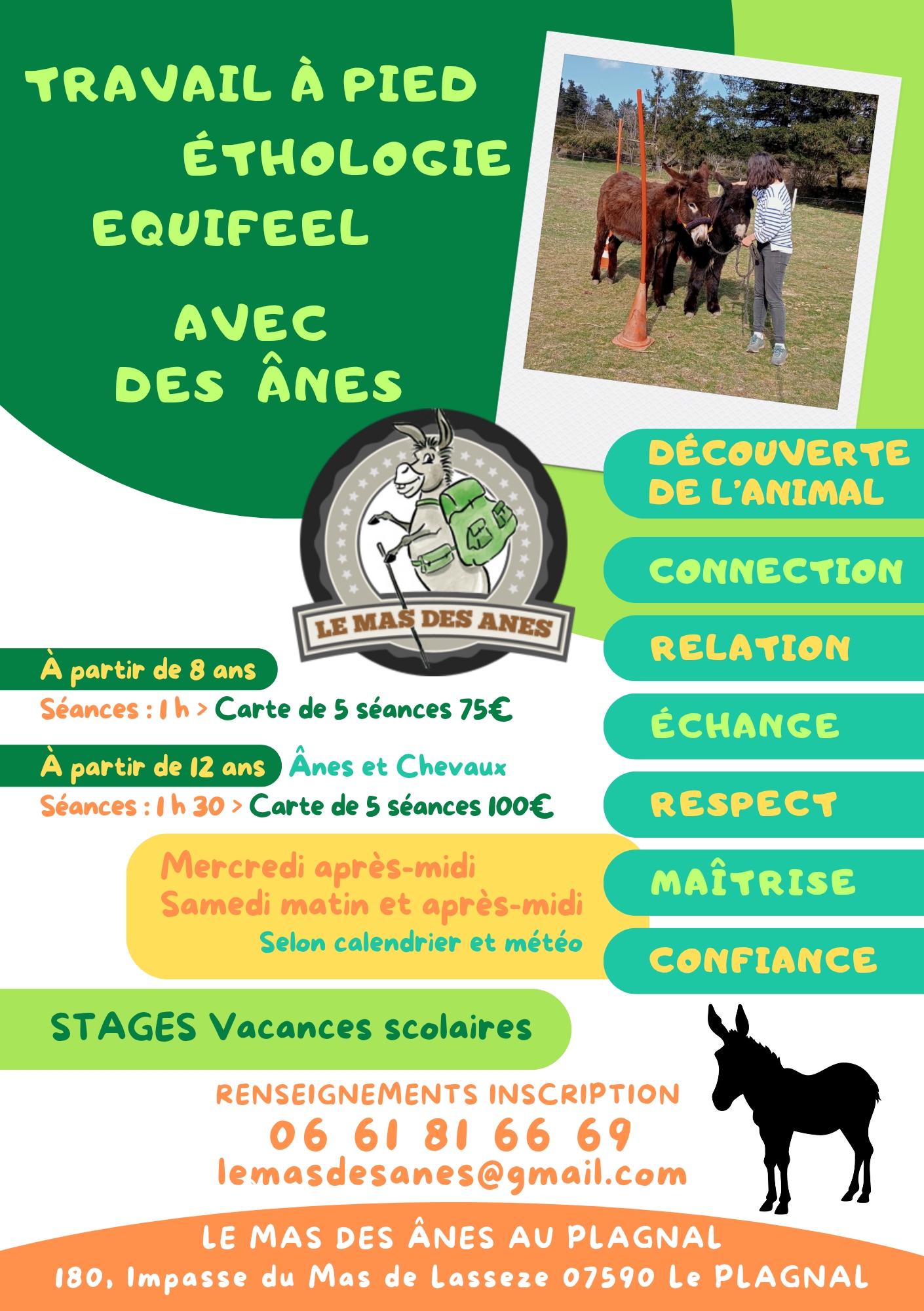 Un âne sur un podium en cours d'équifeel