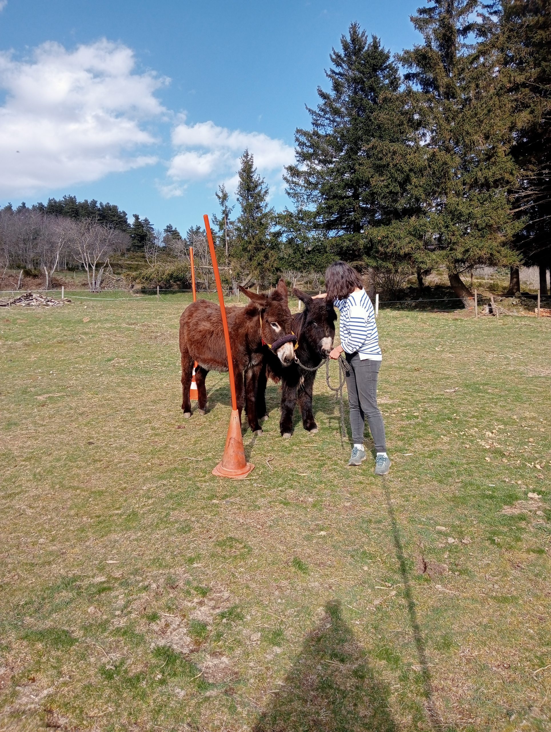 Qui apprend? les ânes ou la personne? découverte du slalom<br />

